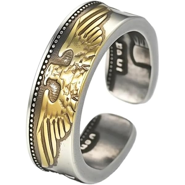 SAINTHERO Men's Vintage Stainless Steel Band Rings Gothic Devil